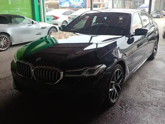 BMW 5 Series 2021 (113300 км)