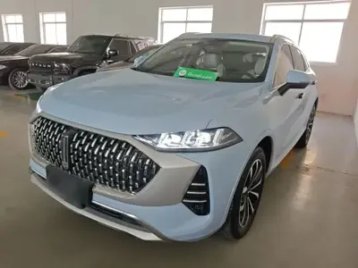 Wey Mocha 2021 (46900 км)