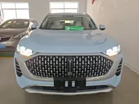 Wey Mocha 2021 (46900 км)