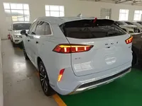 Wey Mocha 2021 (46900 км)