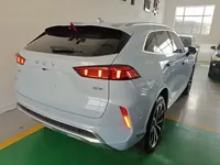 Wey Mocha 2021 (46900 км)