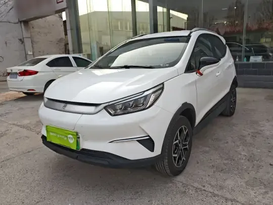BYD Yuan Pro 2021 (113100 км)