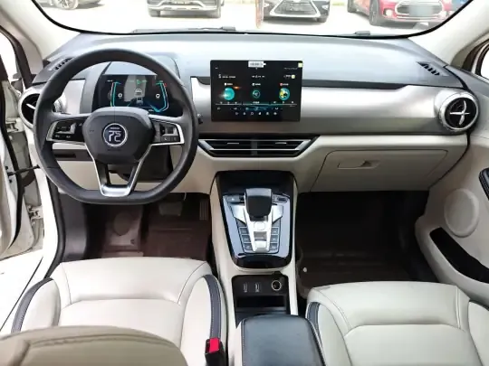 BYD Yuan Pro 2021 (113100 км)