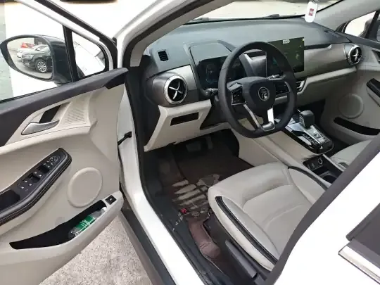 BYD Yuan Pro 2021 (113100 км)