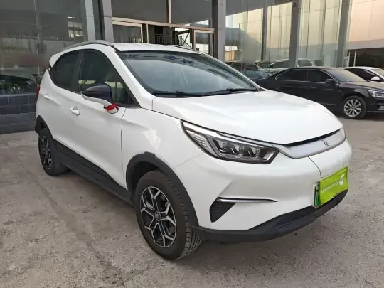 BYD Yuan Pro 2021 (113100 км)