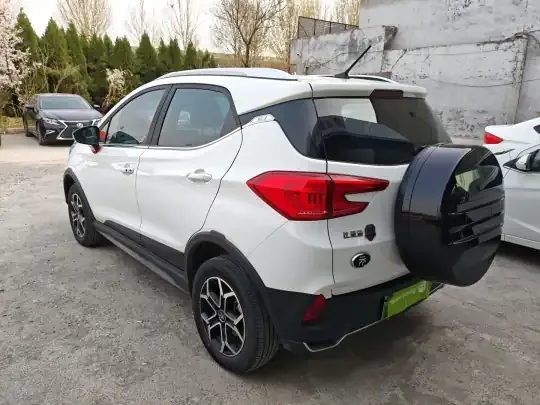 BYD Yuan Pro 2021 (113100 км)