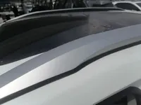 BYD Yuan Pro 2021 (98900 км)