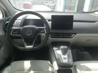 BYD Yuan Pro 2021 (98900 км)