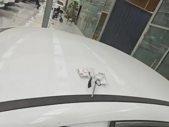 BYD Qin PLUS 2021 (100 км)