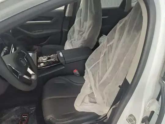BYD Qin PLUS 2021 (100 км)