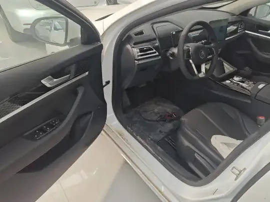 BYD Qin PLUS 2021 (100 км)