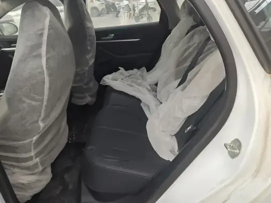 BYD Qin PLUS 2021 (100 км)