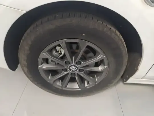 BYD Qin PLUS 2021 (100 км)