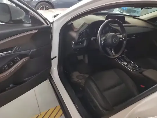 Mazda CX-30 2021 (96600 км)