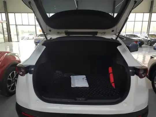 Mazda CX-30 2021 (96600 км)