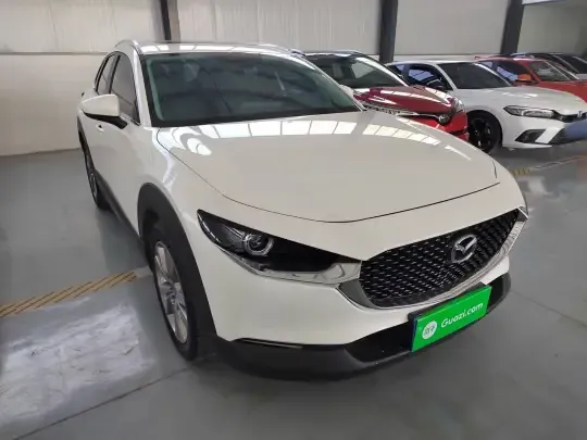 Mazda CX-30 2021 (96600 км)