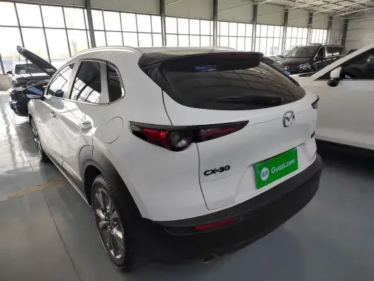 Mazda CX-30 2021 (96600 км)