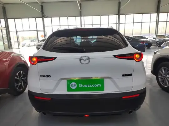 Mazda CX-30 2021 (96600 км)