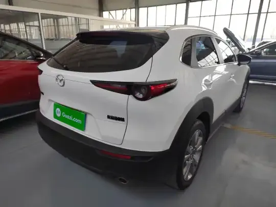 Mazda CX-30 2021 (96600 км)