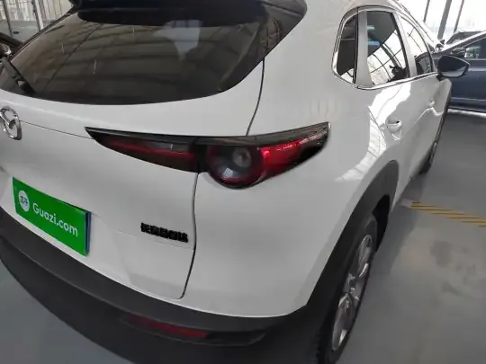 Mazda CX-30 2021 (96600 км)
