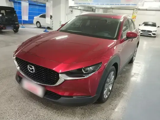 Mazda CX-30 2021 (49000 км)
