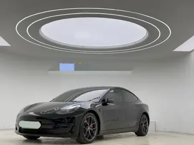 Tesla Model 3 2021 (108100 км)
