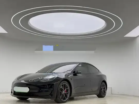 Tesla Model 3 2021 (108100 км)