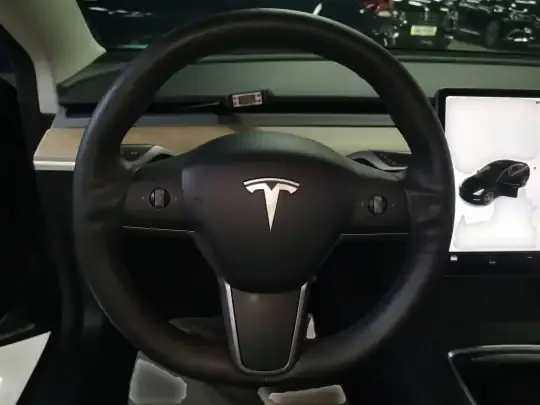 Tesla Model 3 2021 (108100 км)