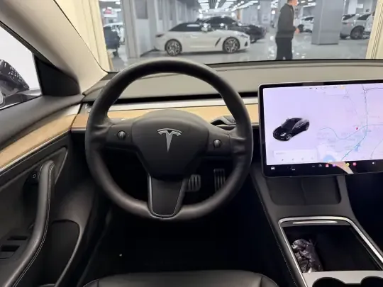 Tesla Model 3 2021 (108100 км)