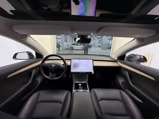 Tesla Model 3 2021 (108100 км)