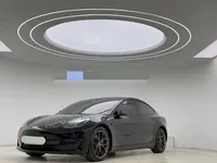 Tesla Model 3 2021 (108100 км)