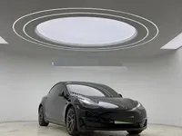 Tesla Model 3 2021 (108100 км)
