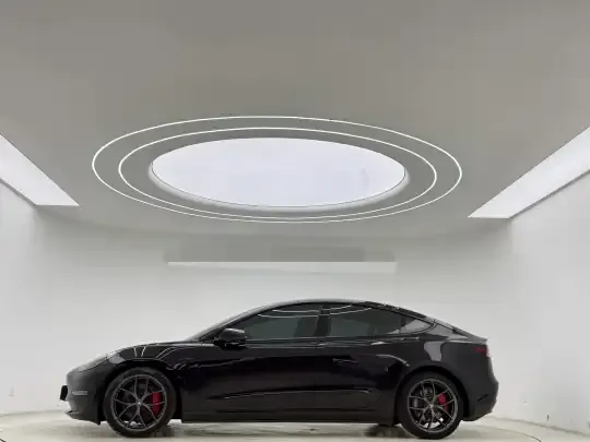 Tesla Model 3 2021 (108100 км)