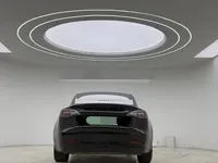 Tesla Model 3 2021 (108100 км)