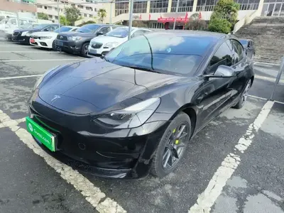 Tesla Model 3 2021 (83699 км)