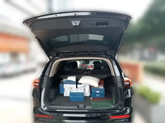 Buick Envision 2021 (51600 км)
