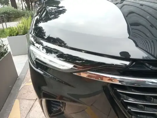 Buick Envision 2021 (51600 км)