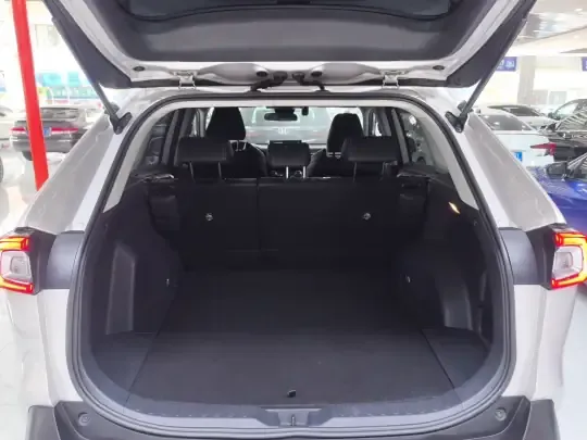 Toyota Wildlander 2021 (30900 км)