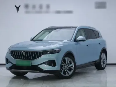 VOYAH FREE 2021 (32300 км)
