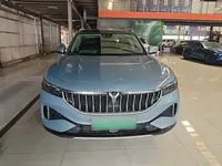 VOYAH FREE 2021 (100300 км)