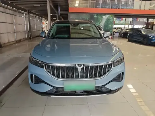 VOYAH FREE 2021 (100300 км)