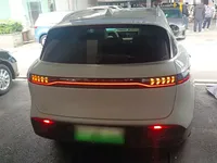 VOYAH FREE 2021 (56900 км)