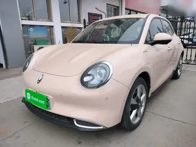 ORA Good Cat 2021 (28900 км)