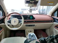 ORA Good Cat 2021 (28900 км)