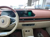 ORA Good Cat 2021 (28900 км)