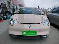 ORA Good Cat 2021 (28900 км)