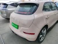 ORA Good Cat 2021 (28900 км)