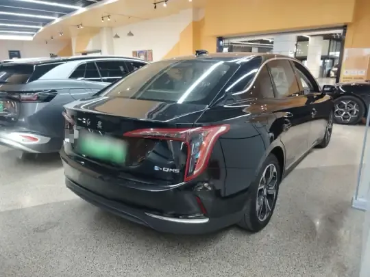 Hongqi E-QM5 2021 (26200 км)