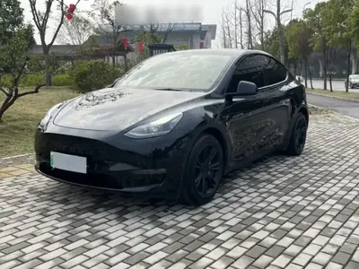 Tesla Model Y 2021 (68400 км)