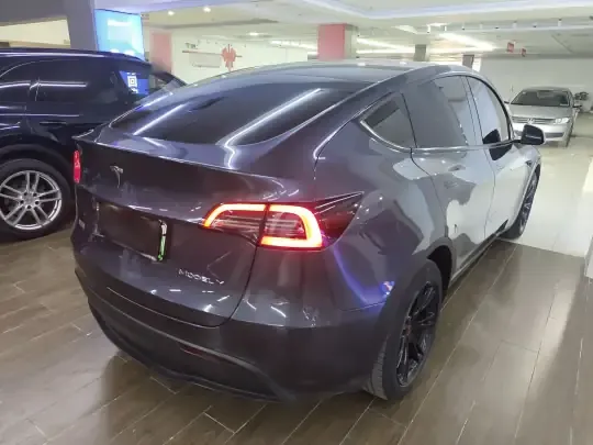 Tesla Model Y 2021 (75900 км)